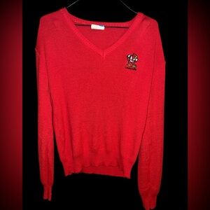 Vintage 70s/80s Champion Blue Bar Louisville Cardinals V-Neck Sweater - XS - USA